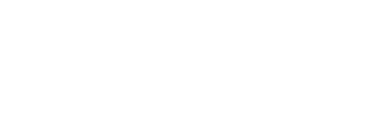 Corporate Executive Coaching
